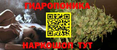 ПСИЛОЦИБИНОВЫЕ ГРИБЫ Сланцы